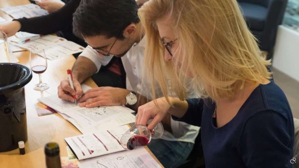 développez vos compétence en vin et devenez diplomé en oenologie