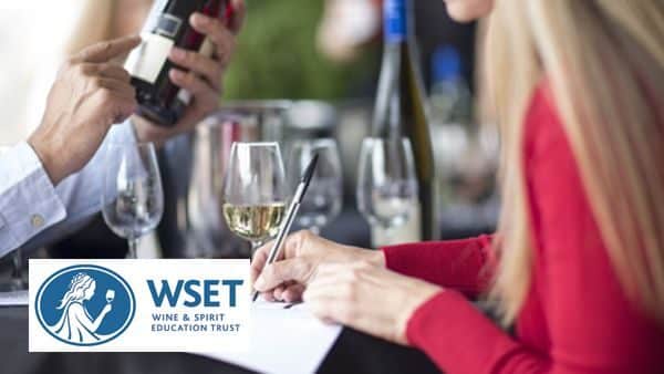 WSET 3 - Programme de révision et examen