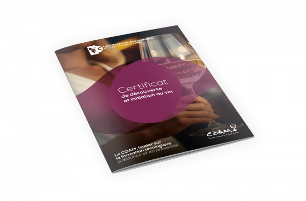 EVE® Certificat de Découverte et d'Initiation au Vin (à distance) – Image 5