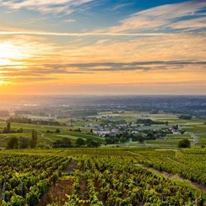 EVE® Certificat Expertise Vins de France : Conseiller et Promouvoir les vins de France (à distance)