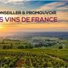 Conseiller et Promouvoir les vins de France (à distance)