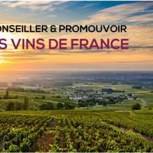 Conseiller et Promouvoir les vins de France (à distance)