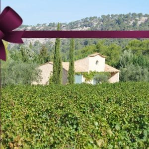 Chèque cadeau 1 visite au domaine Viticole Aix en Provence
