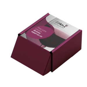 Coffret dégustation WSET 2 vins