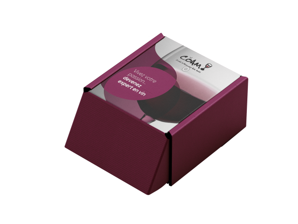 Coffret dégustation Certificat Dégustation du Vin