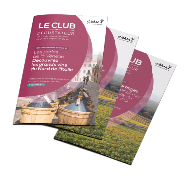 Les secrets des arômes du vin : comment les reconnaître et les interpréter – Image 2