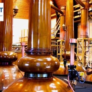 WSET - Certification de Niveau 2 (à distance) - Spiritueux