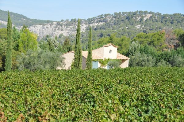 Visite au Domaine viticole Aix-en-Provence Château de Crémade