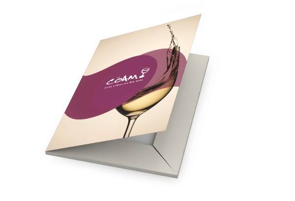 PACK Livre "Le Vin Pas à Pas" et 1 Chèque cadeau – Image 3