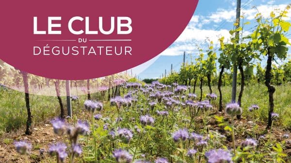 Vins bios, biodynamie, nature : L'Expérience des Terroirs Vivants (à distance)