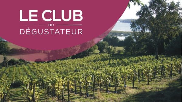 Explorez les nouveaux horizons du vin : Bretagne, Normandie, Hauts-de-France et au-delà