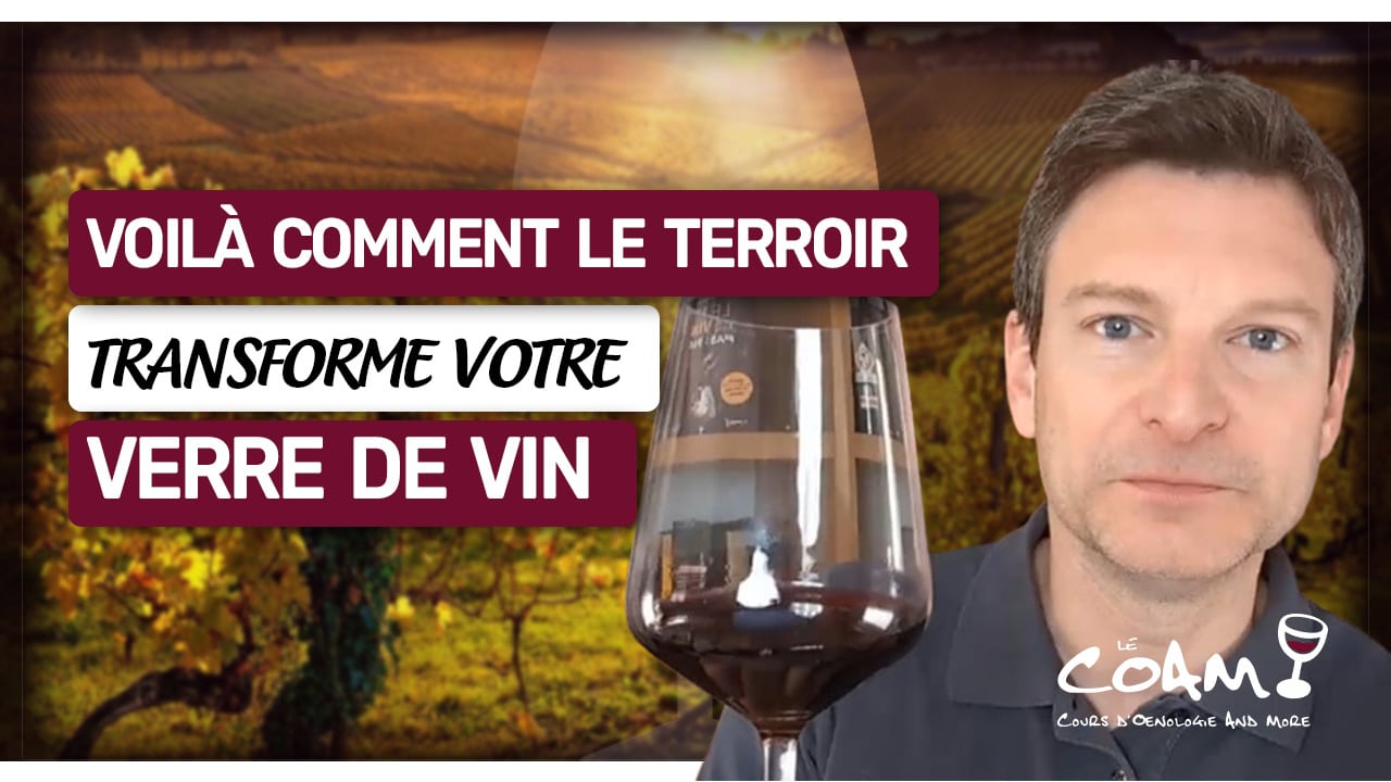Nouvelle leçon : Comment le LIEU transforme t-il le VIN ?