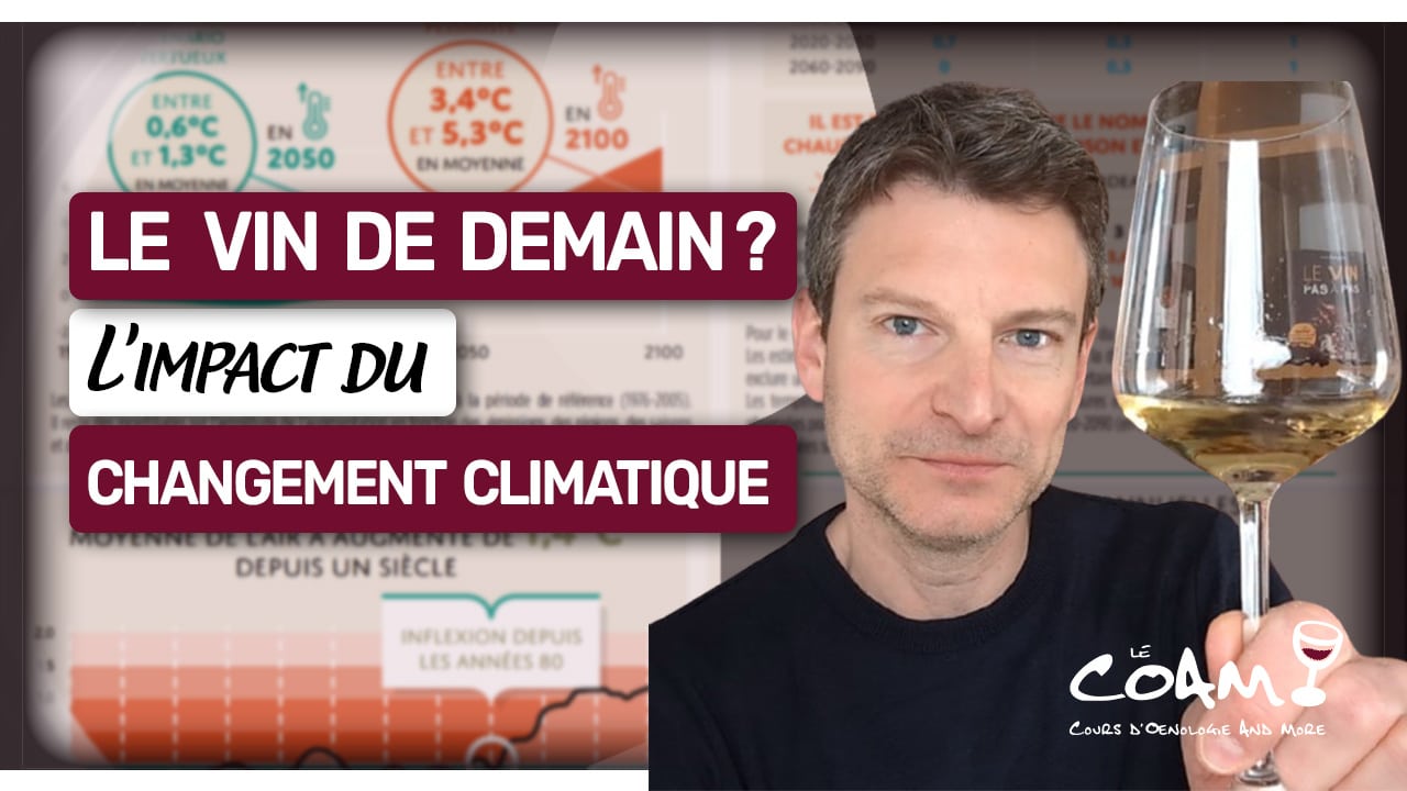 Comment sera le vin de demain ?