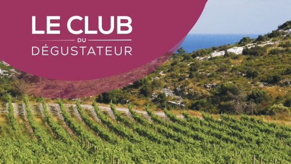 Les Vins du Roussillon : Un voyage épicurien entre mer et montagne