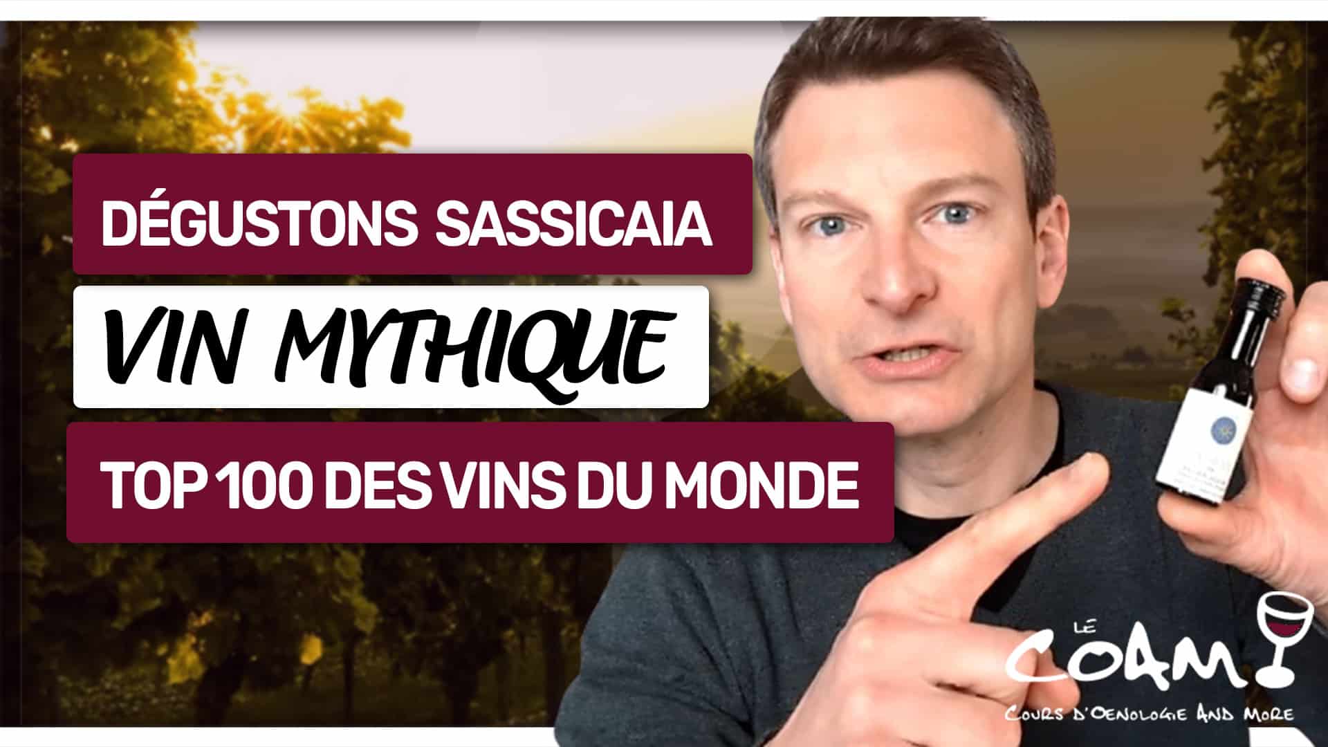 Dégustons le mythique Sassicaia : Le plus grand vin toscan ?