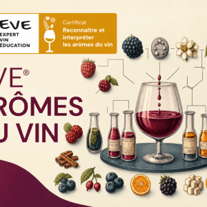 EVE® Certificat Reconnaître et Interpréter les Arômes du Vin