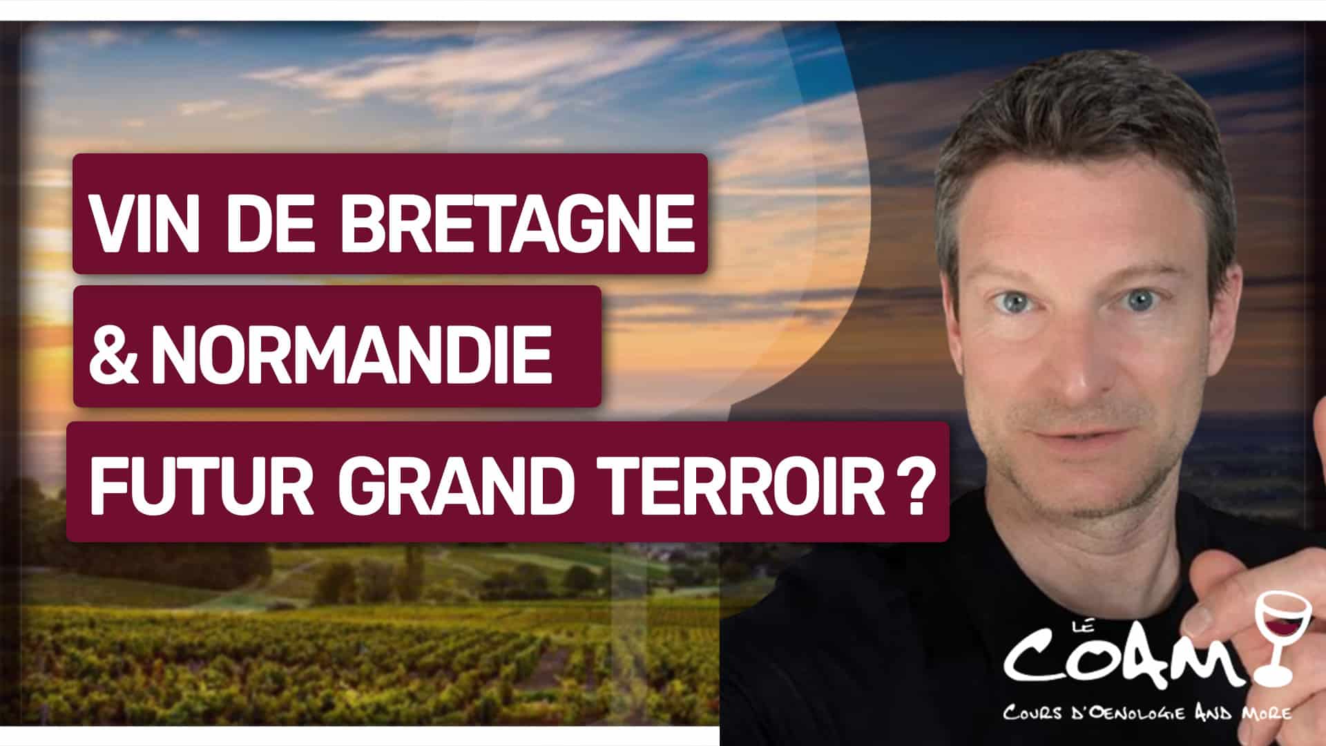 Vin de Bretagne, de Normandie, des Hauts-de-France : à la découverte des nouveaux terroirs français