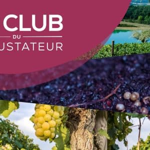 [Masterclass] Explorer les Vinifications Particulières – Macération, Préfermentation, Températures et Profils Aromatiques