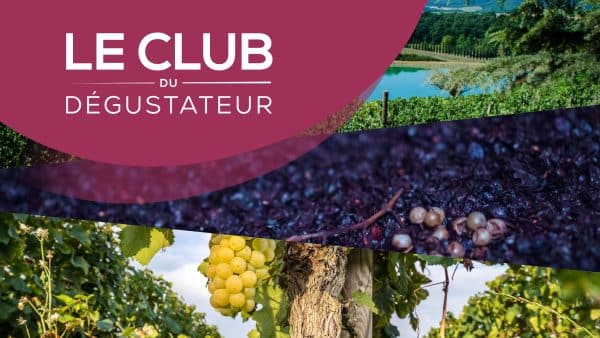[Masterclass] Explorer les Vinifications Particulières – Macération, Préfermentation, Températures et Profils Aromatiques