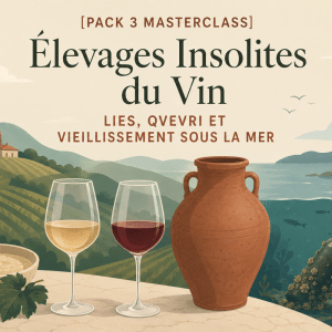 [Pack 3 Masterclass] Élevages Insolites du Vin – Lies, Qvevri et Vieillissement sous la Mer