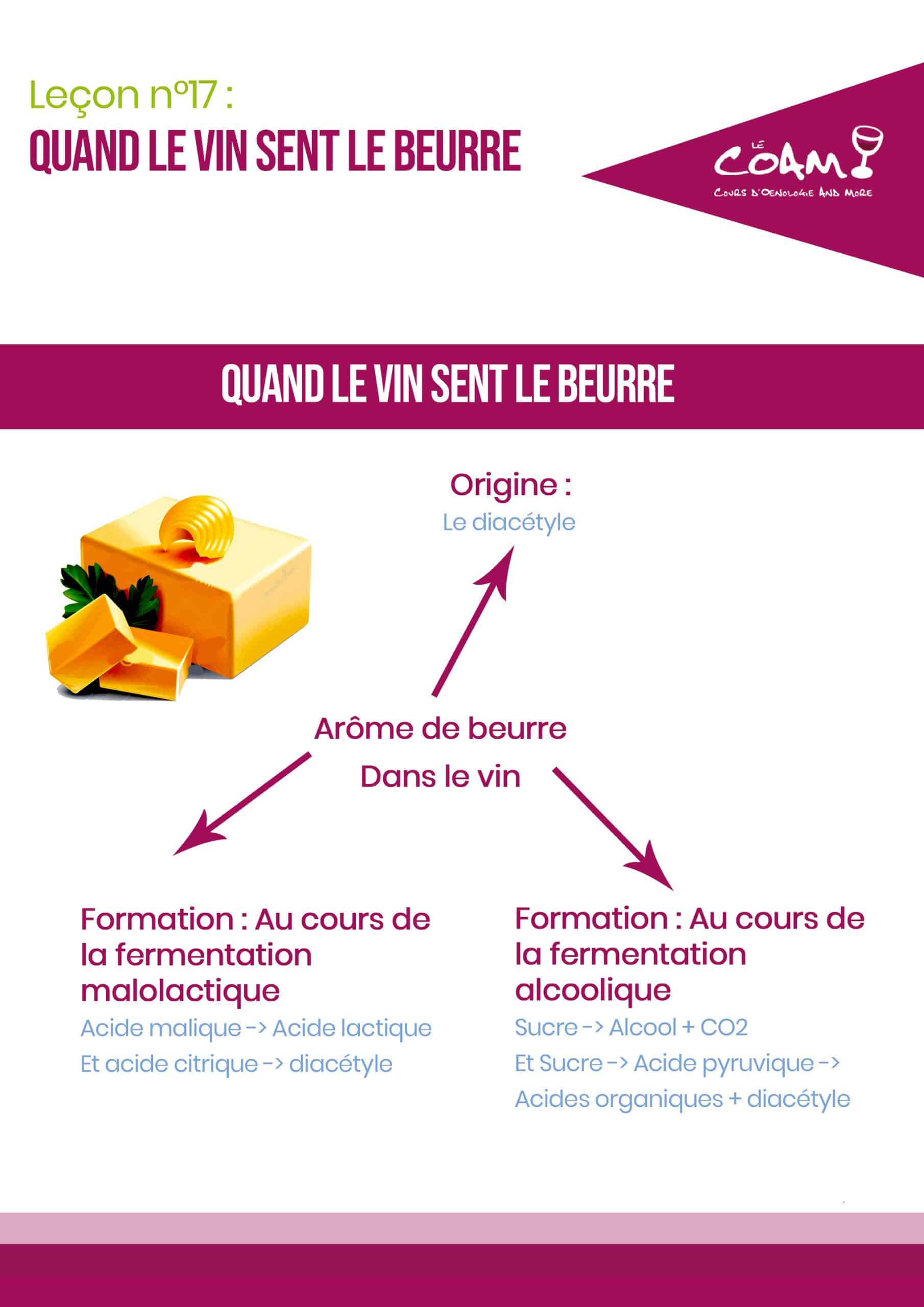 Schéma expliquant l'origine du diacétyle, la molécule responsable de l'arôme de beurre dans le vin
