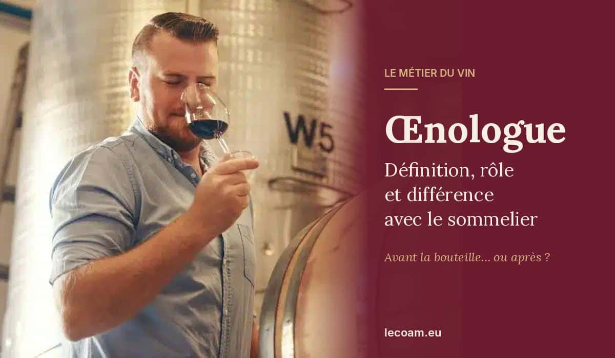Œnologue définition : un œnologue déguste un vin rouge au chai, entre cuves inox et fût de chêne