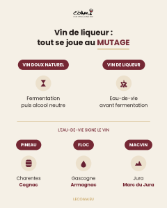 Infographie Le COAM : vin de liqueur et vin doux naturel, le rôle du mutage, et les eaux-de-vie du Pineau (Cognac), du Floc (Armagnac) et du Macvin (marc du Jura)
