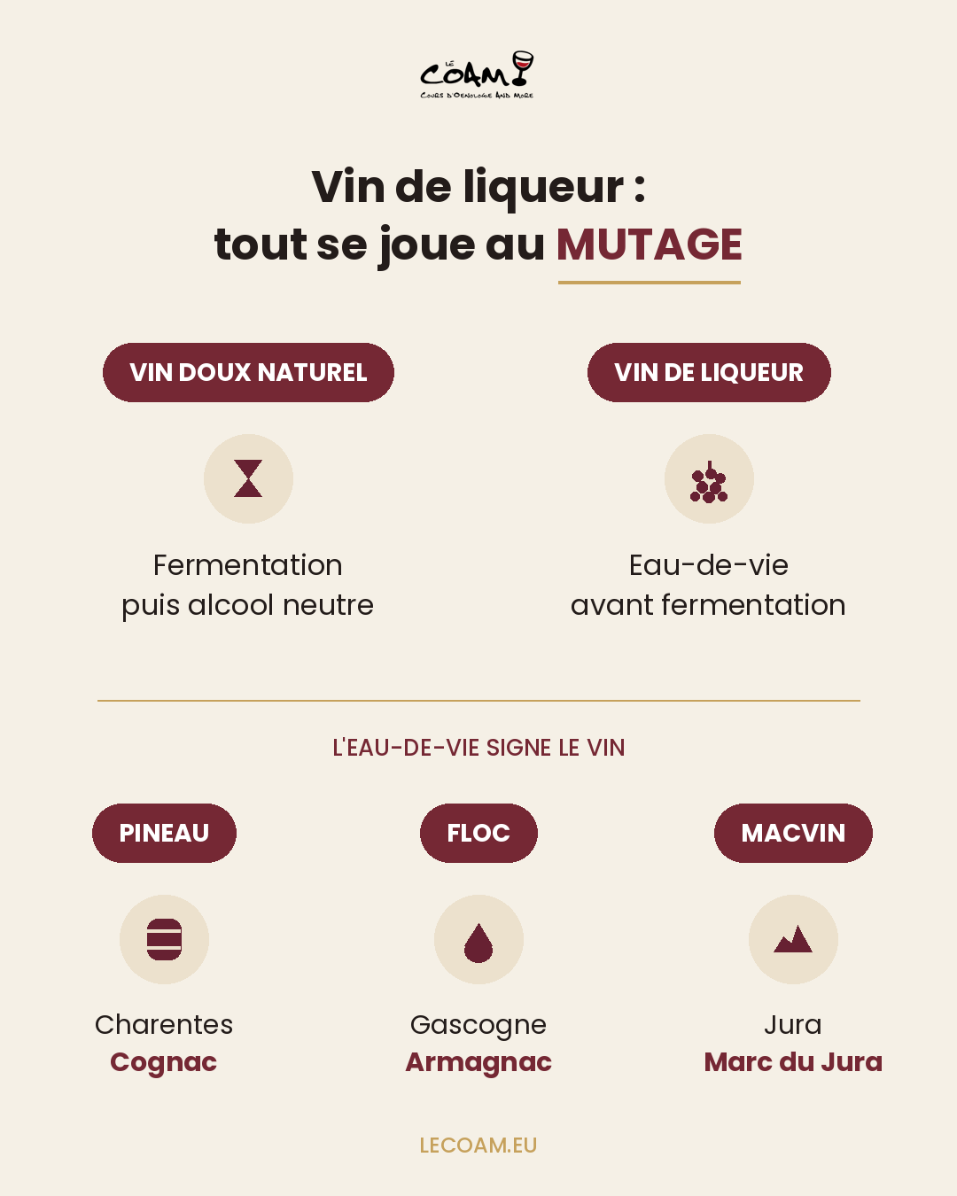 Infographie Le COAM : vin de liqueur et vin doux naturel, le rôle du mutage, et les eaux-de-vie du Pineau (Cognac), du Floc (Armagnac) et du Macvin (marc du Jura)